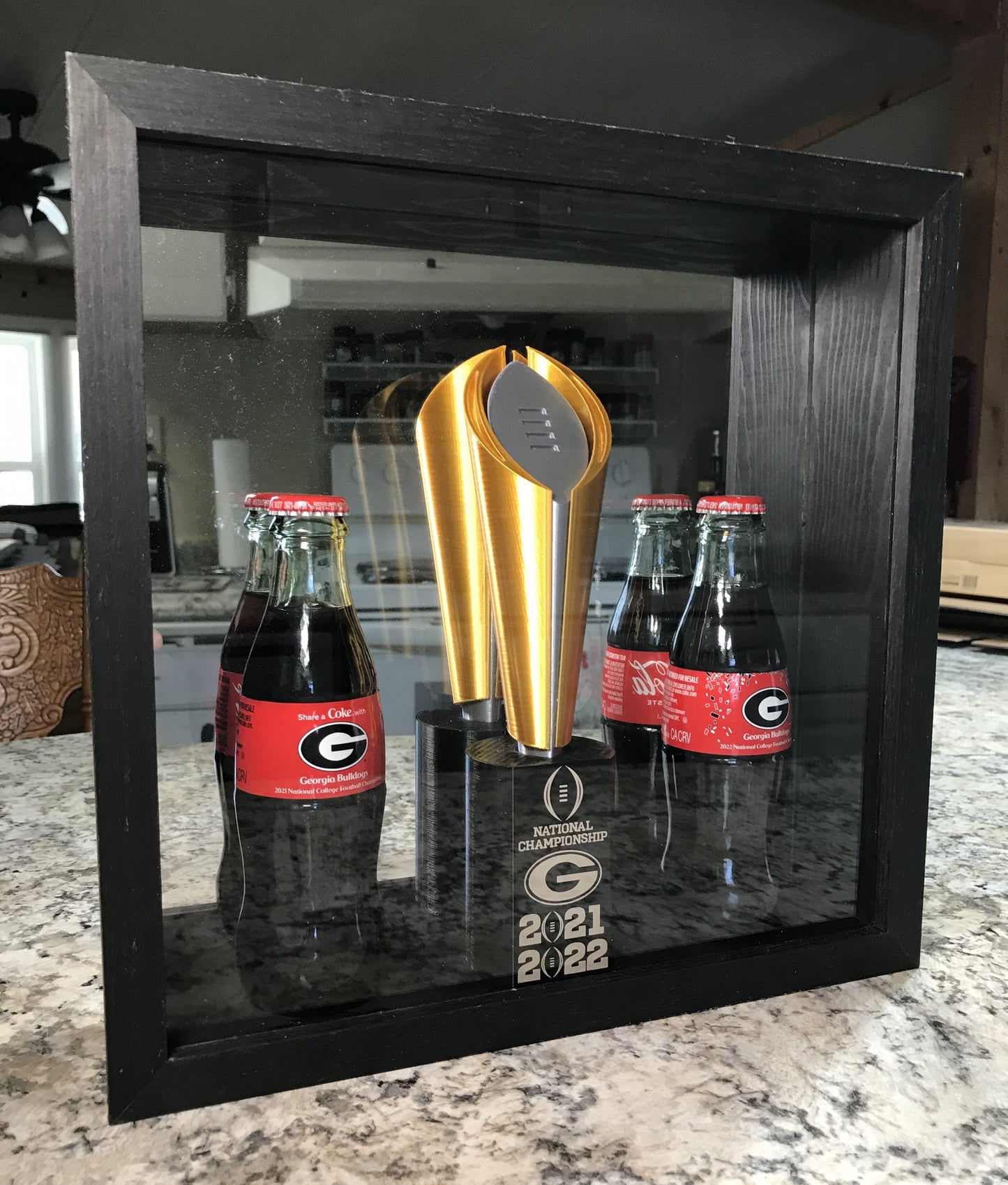 UGA 2021/2022 National Championship Display